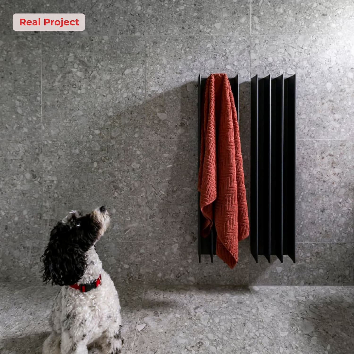 Dog looking at a blacK vertical heated towel rail with a red towel on a grey wall.